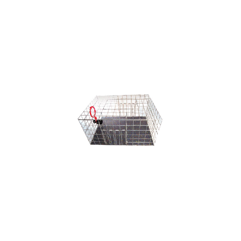 cage capture pigeons​ AVITHOR avec fond
