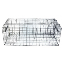 cage capture pigeons​ AVITHOR sans fond