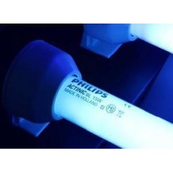 Tube néon 15W PHILIPS UV-A