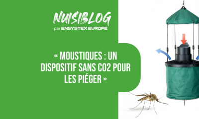 Piège moustiques MTego : efficace, pratique et sans insecticide