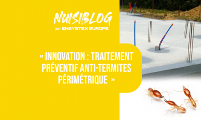 Traitement anti-termites périmétrique : l’innovation, signée Ensystex