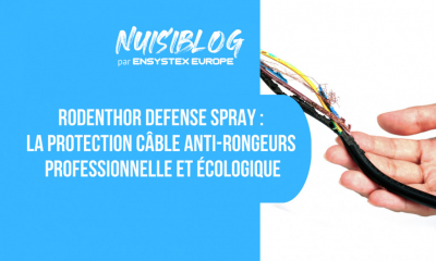Rodenthor Defense Spray : la protection câble anti-rongeur professionnelle
