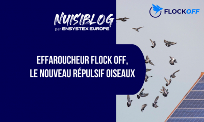 Effaroucheur Flock Off : le nouveau répulsif oiseaux