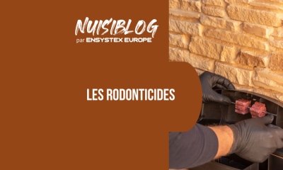 Rodonticide : définition, fonctionnement et critères de choix professionnels